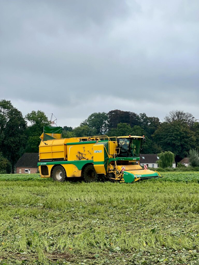 A yellow harvester working in a rural field under an overcast sky, showcasing agricultural machinery.